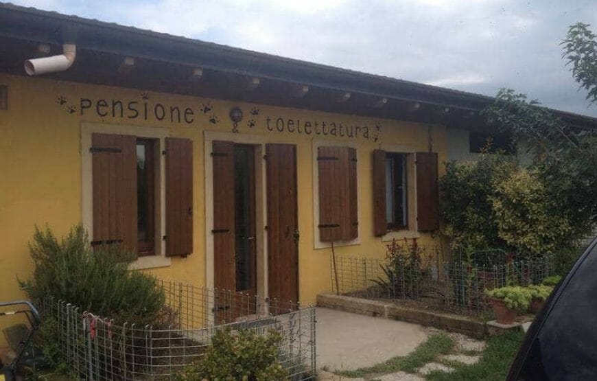 Pensione per Cani Centro Cinofilo Isolalta a Vigasio di Verona