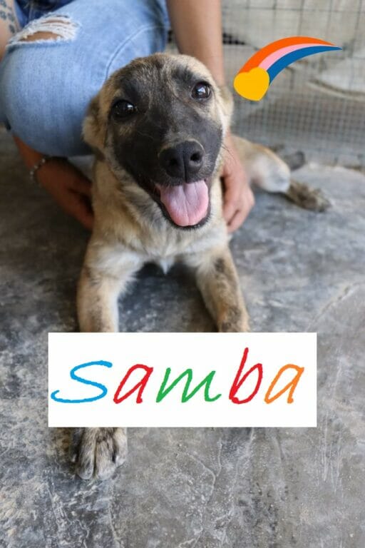 Samba 20230928 01