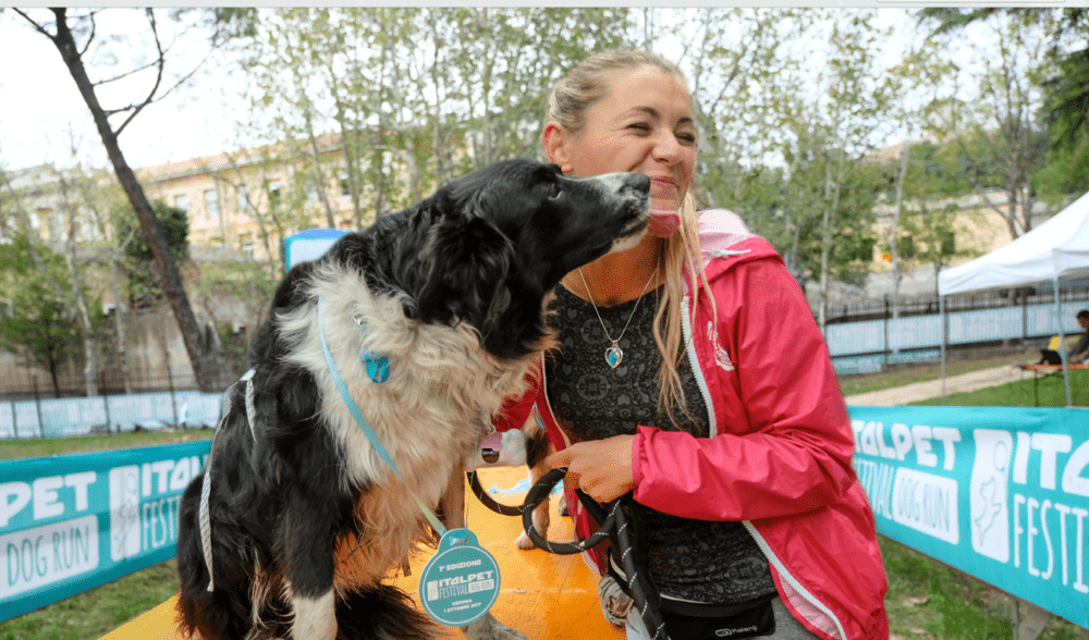 italpet-festival-dog-run-verona-2018
